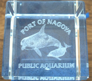 3D シャチ ガラスオブジェ : クリスタルガラスのイルカの装飾品モデル、3D